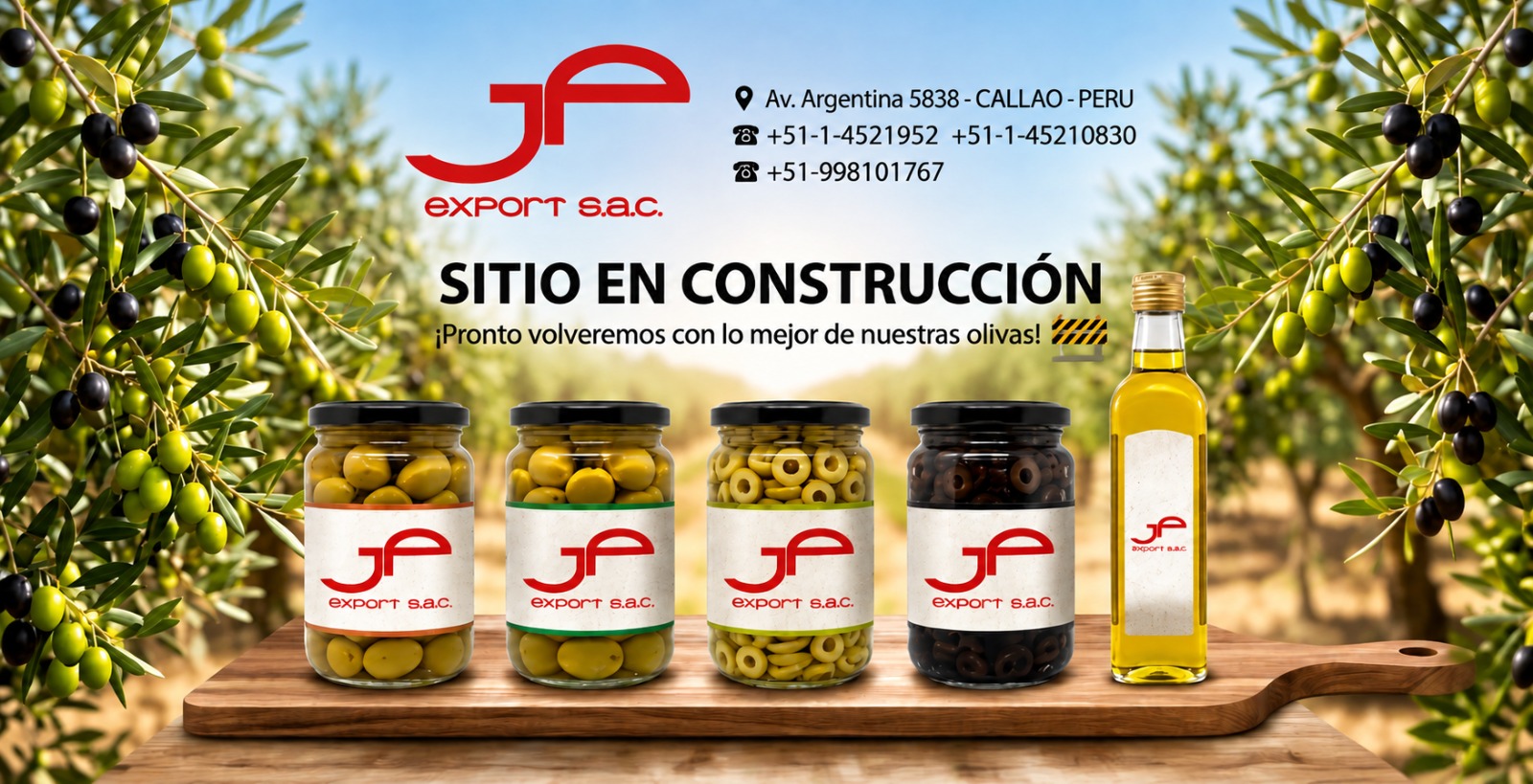 Olivos y productos de aceituna de JF Export